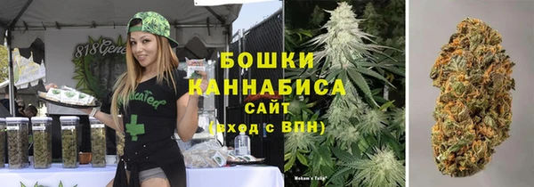 Альфа ПВП Дмитров
