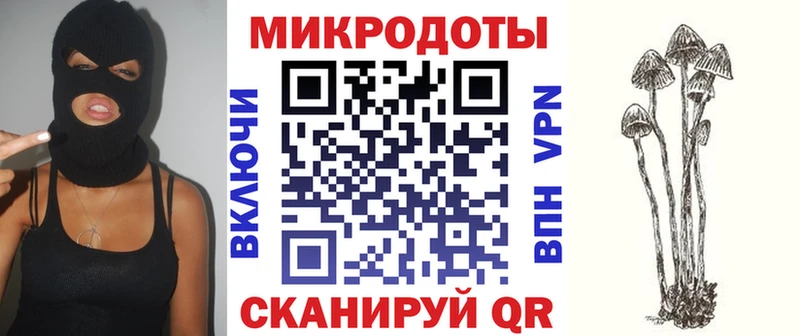 Псилоцибиновые грибы MAGIC MUSHROOMS  как найти закладки  Ильский 